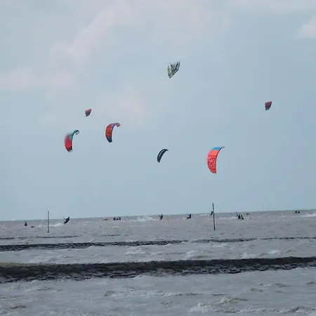 Apartment Surfers *
